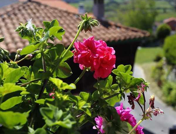Casa Rural La Tayuela Luanco Buitenkant foto